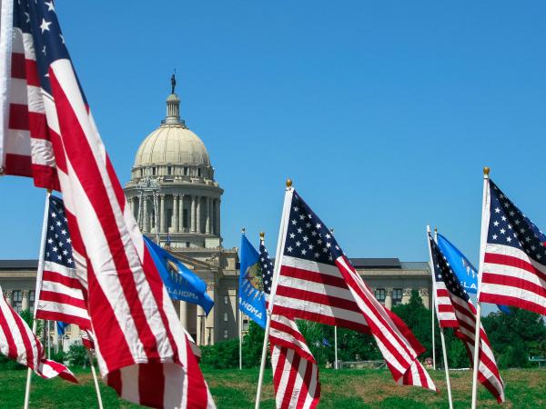 Capitol and lawn flags